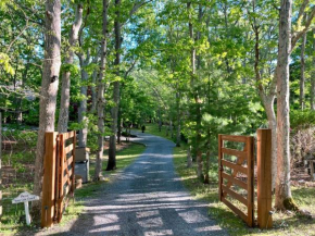 Summer in the Hamptons
